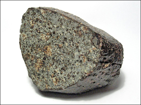 NWA 869 Meteorite